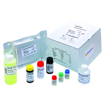 Candida albicans IgG ELISA